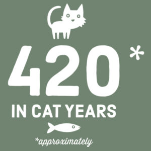 60 in Cat Years - Womens Stacy Tee Design