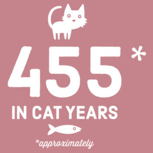 65 in Cat Years - Womens Stacy Tee Design