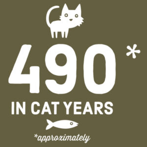 70 in Cat Years - Womens Stacy Tee Design