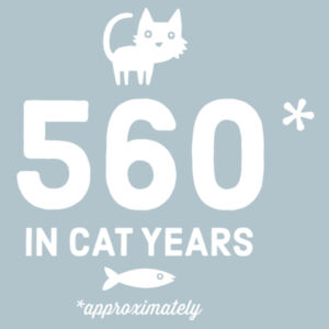 80 in Cat Years - Womens Stacy Tee Design